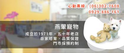 台南合法犬舍ptt 高雄合法犬舍推薦 嘉義犬舍ptt 燕翬寵物